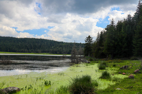 cankurtaran yaylası