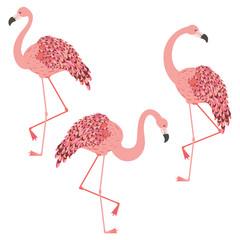 Pink flamingo design
