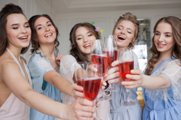 Cheerful young girlfriends raise a toast and clink glasses.