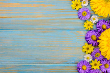 Yellow gerbera, daisy and purple garden flowers on a blue wooden table. The flowers are arranged side by side. Top view, copy space.
