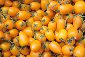 Yellow tomatoes at the market