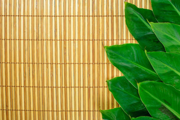 Mini banana leaf on a woven bamboo sheet. Green leafy background