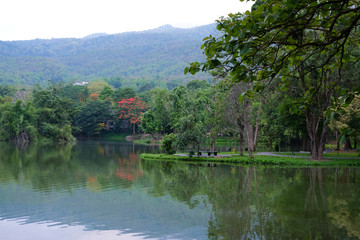 Fototapeta premium lake pond mountain view scenery