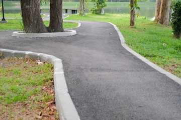 Fototapeta premium pathway walkway path near pond in garden park