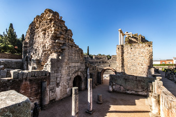 Fototapete bei efototapeten.de bestellen   