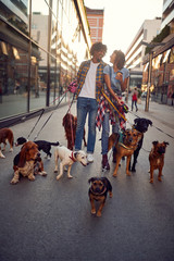 Dog walking on leash with professional dog walker couple.