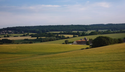 landscape with green fields and blue sky