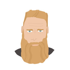 Vector Illustration Blue eyed bearded man Flat icons