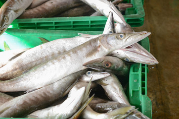 Fresh fish in a basket at the fish market.