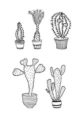graphic black and white drawing of cacti in pots