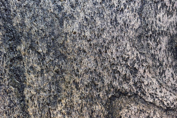 Venetian plaster. Liquid wallpaper. Background and texture of plaster for design and decoration.