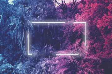 Neon light frame glowing behind palm trees. Duotone © Photocreo Bednarek