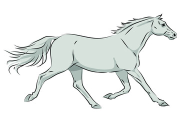 Hand drawn vector illustration of running horse in gray tones, isolated on white background.