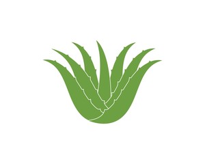 aloevera logo icon vector illustration design