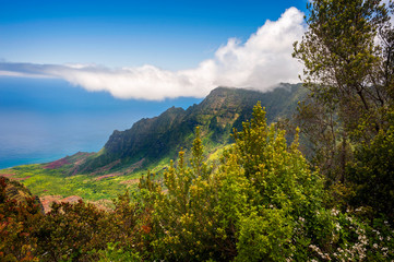 Fototapeta na wymiar Kalalau Lookout, Kauai, Hawaii. A superb view into the heart of the Kalalau Valley one of the most photographed and well recognized valleys in all of Hawaii featured in many movies and TV shows.