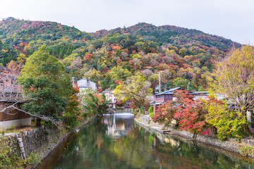 Fototapeta na wymiar Arashiyama in beautiful autumn season, Kyoto, Japan.