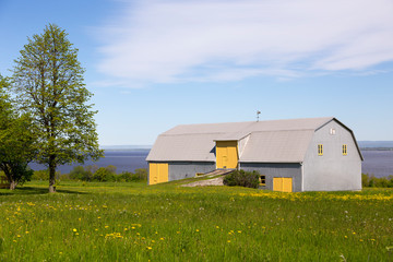 Fototapeta na wymiar Metal-clad barn with yellow doors and window frames set in field covered in dandelion in bloom with the St. Lawrence River and south shore in the background, Island of Orleans, Quebec, Canada