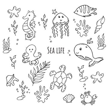 Monochrome set of various sea creatures. Black and white sea life