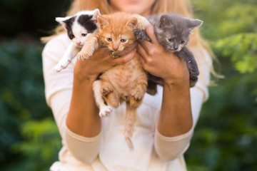 young girl holding three beautiful kittens outdoor adoption concept. homeless kittens. the problem of stray animals
