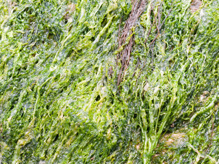 Beautiful harbour landscape scene outside summer bar coast