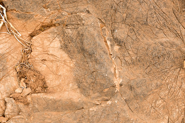 Graphic texture stone