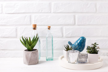 Succulents plants in pots and decorative blue birds  near by white brick wall