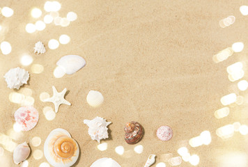 vacation and summer holidays concept - seashells on beach sand