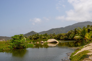seichtes tropisches Gewässer in saftig grüner Natur unter blauem Himmel