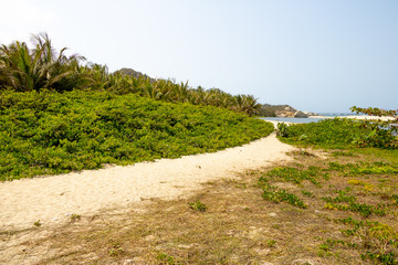 Sandweg durch grünes tropisches Paradies am Meer