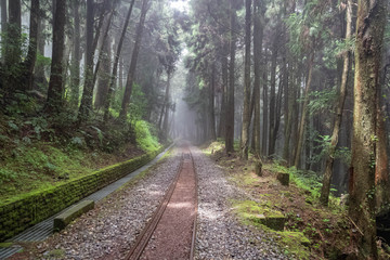 Obraz premium Old Abandoned Railroad in Alishan Scenic Area Forest with Mist, Haze and Fog in Taiwan
