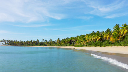 Indian ocean drone flying over shores of amazing palm trees beach and blue sea. Blue sea and beach and blue sky. Thailand Phuket wild palms sand beach waves and shore. Seascape vacation background © murkalor7
