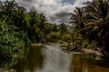 tropischer Karibik Tayrona Nationalpark in Kolumbien 