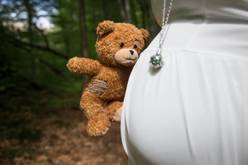 teddy bear on wooden background