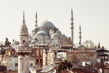 Fototapeta na wymiar The roof of the Grand Bazaar, Suleymaniye Mosque in Istanbul, Turkey. View of the mosque with minarets. Istanbul panorama