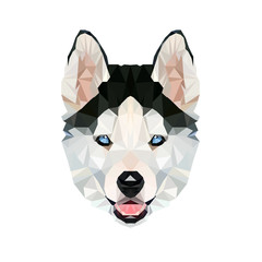 Husky Puppy Siberian Malamute Fluffy Dog Canine Polygon Portrait Head Vector Illustration