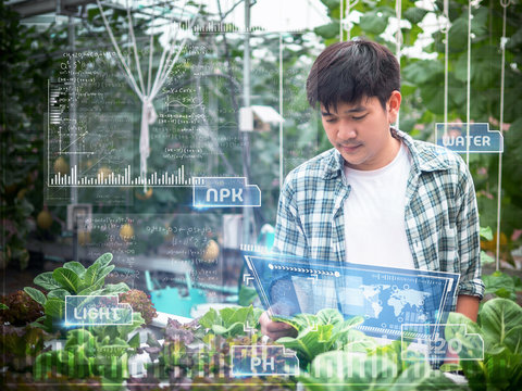 young smart Asia Farmer using Ar,Vr,3d projection glass Technology at his smart farm.