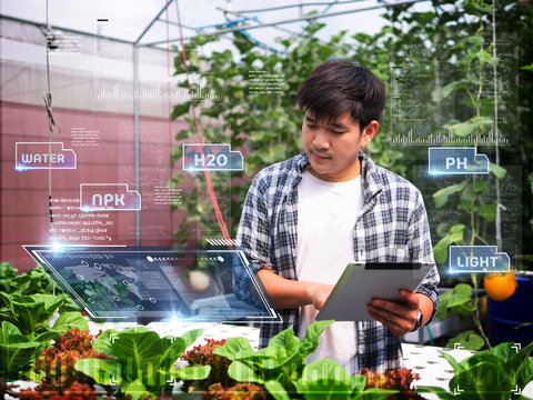 young smart Asia Farmer using Ar,Vr,3d projection glass Technology at his smart farm. - Powered by Adobe