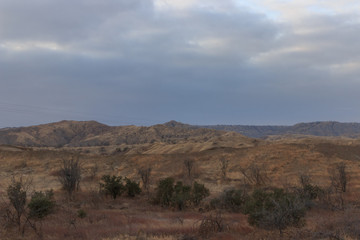 dry landscape along the roadside in peru