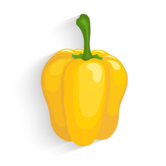 Realistic yellow bell pepper, vector illustration