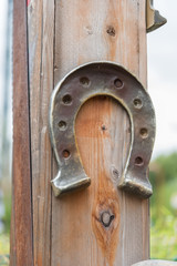 Horseshoe lucky horse