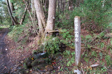 Bog wetlands Natural monuments in Nagano Japan