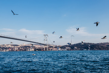 Bosphorus Bridge in the rays of the setting sun. Incredible view of Istanbul Bosphorus and seagulls and a large tanker passing the bridge over the sea.