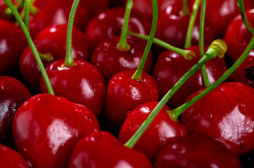 cherries on a black background, close up