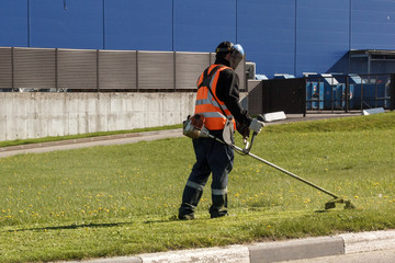 the lawn-mower cuts the grass in the afternoon, using a protective mask