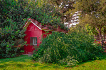 Red Wooden house on the forest