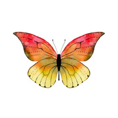 Watercolor yellow butterfly