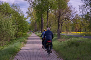 Elderly couple riding bicycles through the countryside.