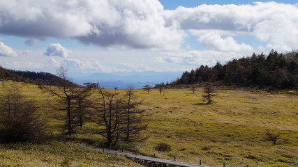Fototapeta na wymiar Hiking trail in Japanese plateau Bog