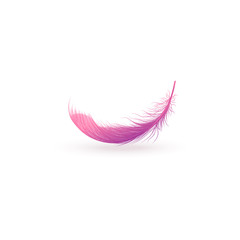 Pink fluffy feather floating in air isolated on white background