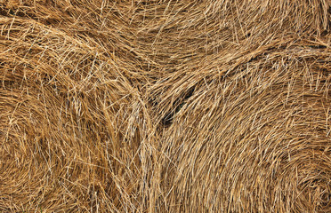 Close up of three gold colored straw bales in symmetrical lines